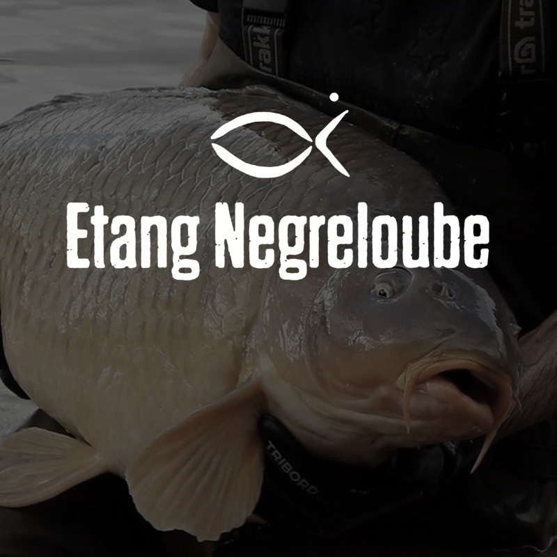 Etang Negreloube